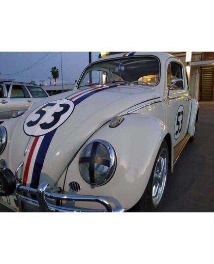 VW Beetle "La Choupette" Decals Set