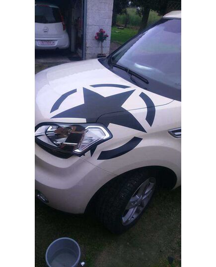 US ARMY STAR Ford Fiesta Decal