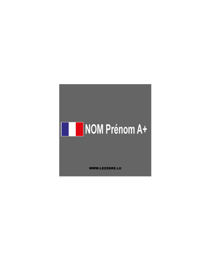 Set of 2 french rally pilot custom decals