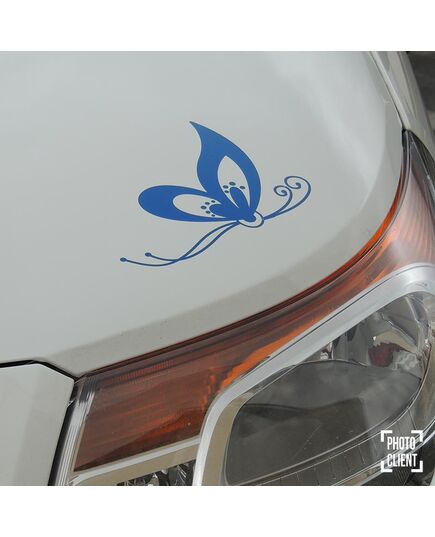 Butterfly Decal 70