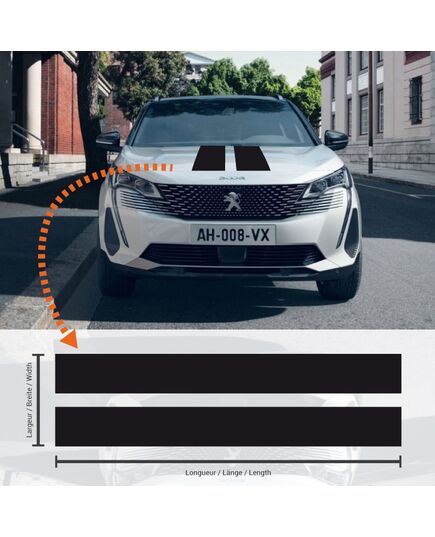 Peugeot 3008 Double Stripes Decal
