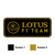 Lotus F1 Team Decal Logo 3