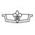 Caprice Logo Decal