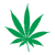 Casquette Feuille de Cannabis