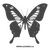 Butterfly Carbon Decal 63