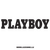 Playboy Logo Ecriture Decal