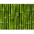 Sticker Deco Murale Bamboo