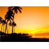 Sticker Waikiki Coucher de soleil