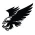 Eagle Camping Car Decal 4