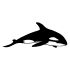 Whale Camping Car Decal