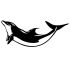 Dolphin Camping Car Decal