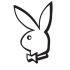 Playboy Playmates Bunny Volkswagen MK Golf Decal