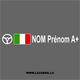 2x Italian Flag Steering Wheel Pilot Custom Decals