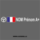 2x French Flag Steering Wheel Pilot Custom Decals