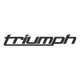 Sticker Triumph Logo design