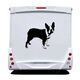 Sticker Camping Car Boston Terrier