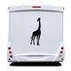 Sticker Camping Car Girafe
