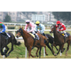 Sticker Déco Courses de chevaux Jockeys