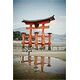 Sticker Mural, photo torii rouge du Japon, celine
