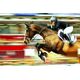 Sticker Deko Equitation course Pferd Jockey