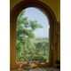 Olive Tree Through The Window Decoration Decal