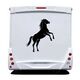 Sticker Camping Car Cheval 5