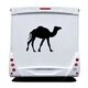 Camel Camping Car Decal