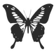 Butterfly Camping Car Decal 63